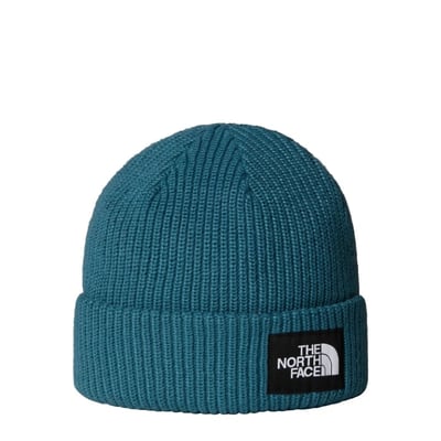 Salty Lined Beanie Muts Heren Bergtopia.com