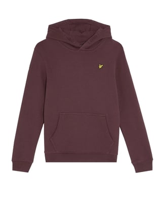 Brush Back Pullover Hoodie Trui Kinderen Bergtopia.com