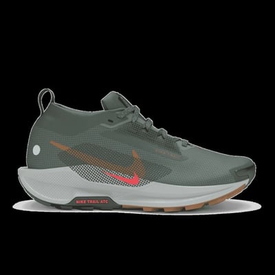 Pegasus Trail 5 GTX Hardloopschoen Heren Bergtopia.com