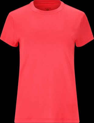 Almi L/S T-shirt Dames Bergtopia.com