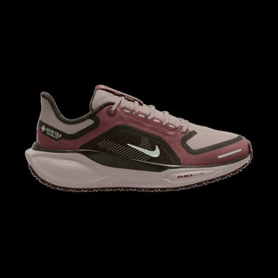 Air Zoom Pegasus 41 GTX Hardloopschoen Dames Bergtopia.com